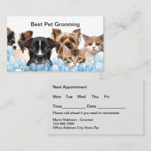 Best Pet Grooming Appointment Cards Design