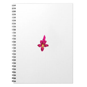 Best Spiral Notebooks for School and Office Use