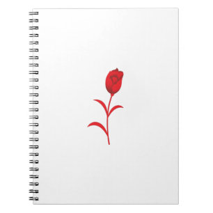 Best Spiral Notebooks for School and Office Use