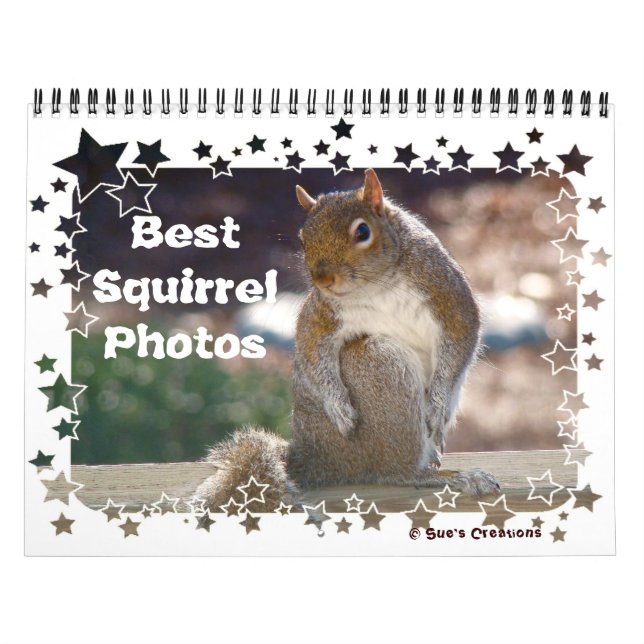 Best Squirrel Photos Calendar (Cover)