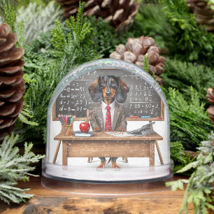 Best Teacher Gift Snowglobe