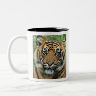 Best Tiger Two-Tone Coffee Mug