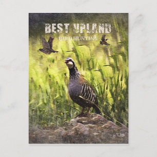 Best Upland Bird Hunting  Postcard