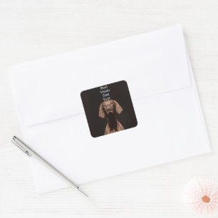 Best Vizsla Dad Ever Square Sticker