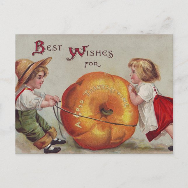 Best Wishes for a Good Thanksgiving Holiday Postcard (Front)