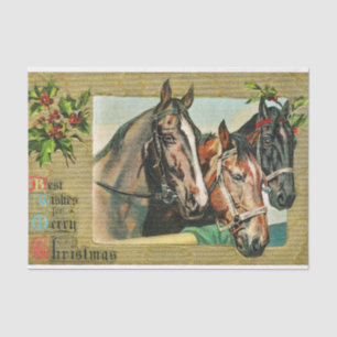 Best Wishes For a Merry Christmas Tissue Paper