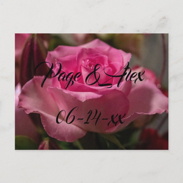 Best Wishes Newly Weds Wedding Destiny's Destiny P Postcard (Front)