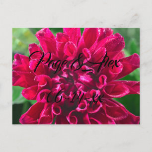 Best Wishes Newly Weds Wedding Destiny's Destiny P Postcard