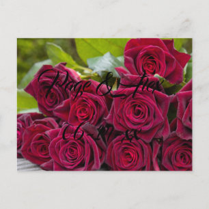 Best Wishes Newly Weds Wedding Destiny's Destiny P Postcard