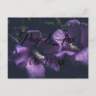 Best Wishes Newly Weds Wedding Destiny's Destiny P Postcard