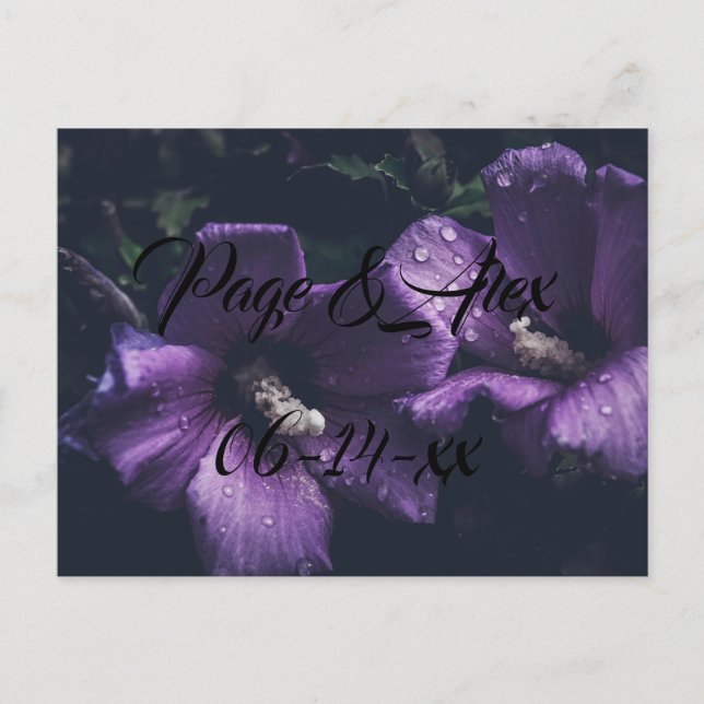 Best Wishes Newly Weds Wedding Destiny's Destiny P Postcard (Front)