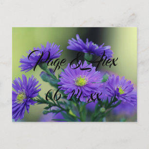 Best Wishes Newly Weds Wedding Destiny's Destiny P Postcard