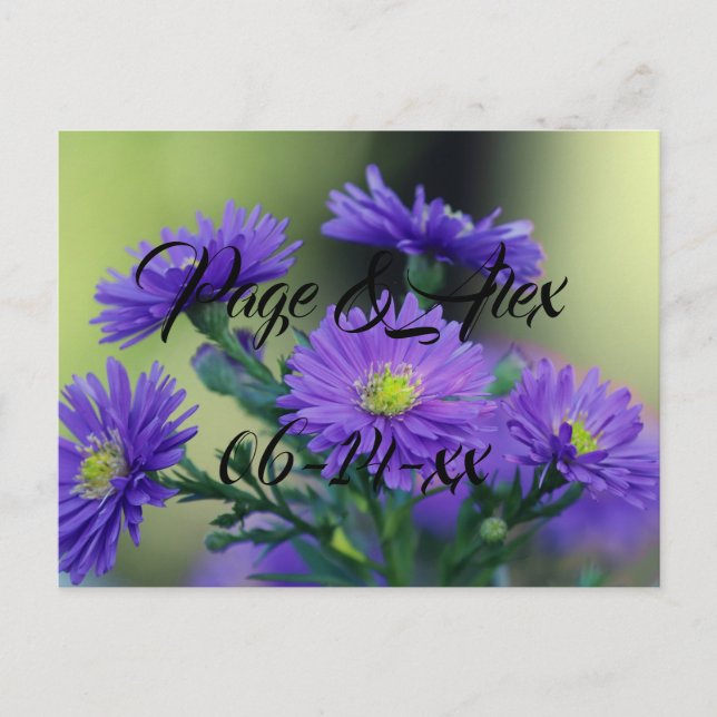 Best Wishes Newly Weds Wedding Destiny's Destiny P Postcard (Front)