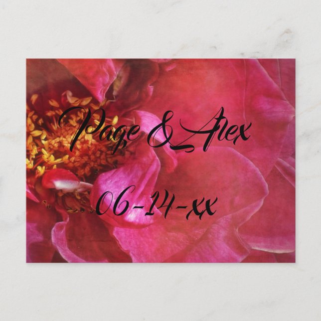 Best Wishes Newly Weds Wedding Destiny's Destiny P Postcard (Front)