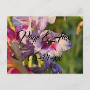 Best Wishes Newly Weds Wedding Destiny's Destiny P Postcard