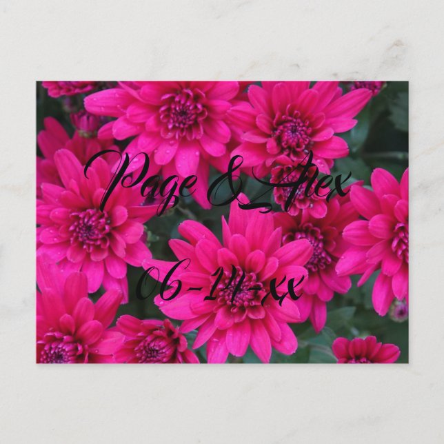 Best Wishes Newly Weds Wedding Destiny's Destiny P Postcard (Front)