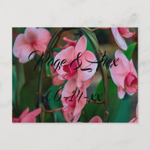 Best Wishes Newly Weds Wedding Destiny's Destiny P Postcard