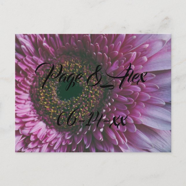 Best Wishes Newly Weds Wedding Destiny's Destiny P Postcard (Front)