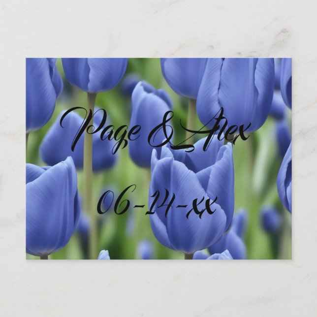 Best Wishes Newly Weds Wedding Destiny's Destiny P Postcard (Front)