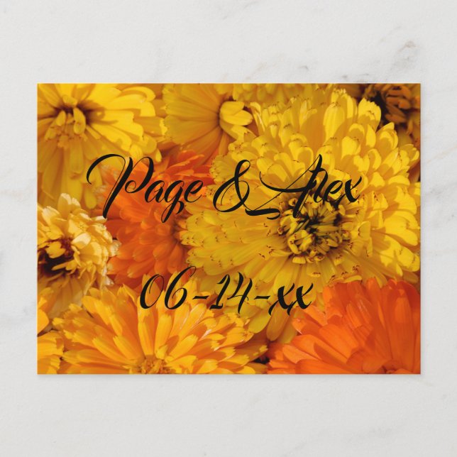 Best Wishes Newly Weds Wedding Destiny's Destiny P Postcard (Front)