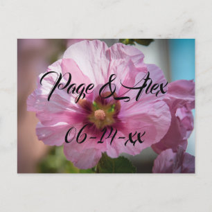 Best Wishes Newly Weds Wedding Destiny's Destiny P Postcard