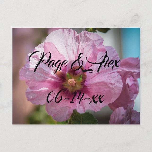 Best Wishes Newly Weds Wedding Destiny's Destiny P Postcard (Front)