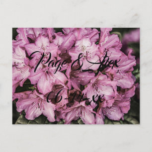 Best Wishes Newly Weds Wedding Destiny's Destiny P Postcard