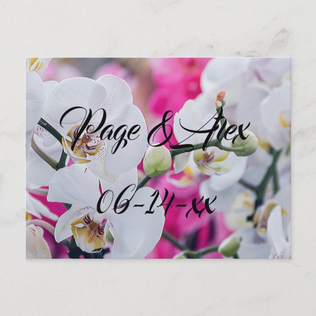 Best Wishes Newly Weds Wedding Destiny's Destiny P Postcard (Front)