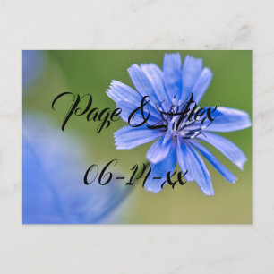 Best Wishes Newly Weds Wedding Destiny's Destiny P Postcard