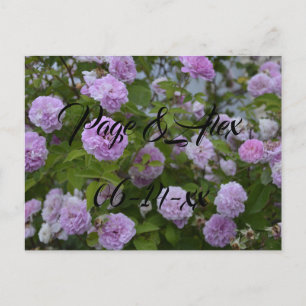 Best Wishes Newly Weds Wedding Destiny's Destiny P Postcard