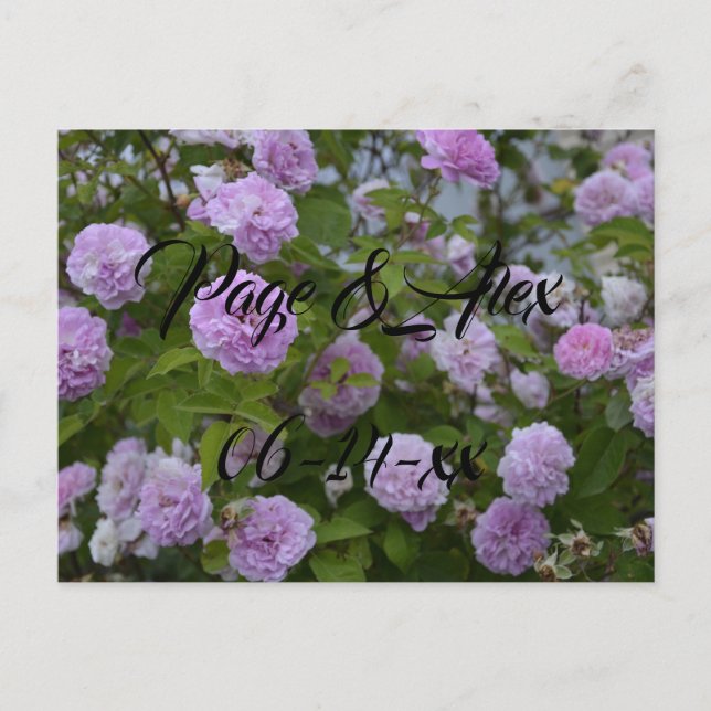 Best Wishes Newly Weds Wedding Destiny's Destiny P Postcard (Front)