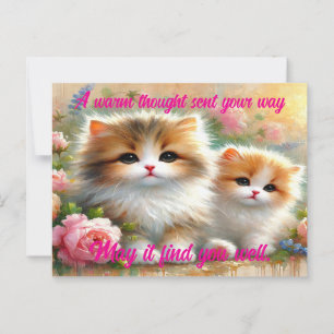 Best Wishes Postcard For Cat Lovers
