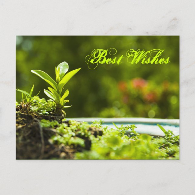 Best wishes -  postcards (Front)