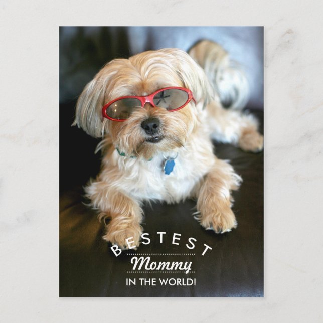 Bestest Mummy Custom Doggie Mother's Day Postcard (Front)