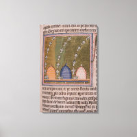 Bestiary Three curved lines