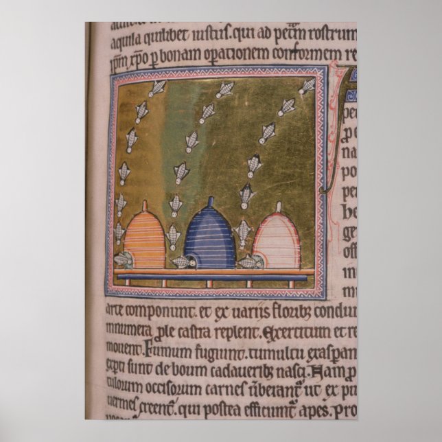 Bestiary Three curved lines Poster (Front)