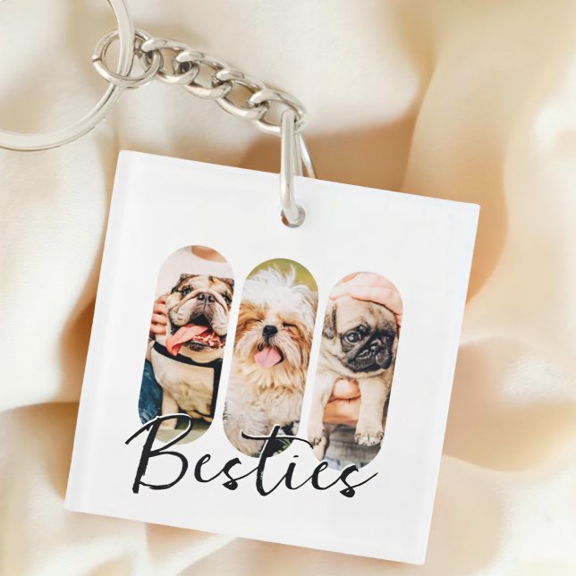 Besties Pet Simple Modern Playful Three Photo Key Ring (Creator Uploaded)