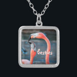 Besties Pink Flamingo Friends Photo Cute Chic Fun Silver Plated Necklace<br><div class="desc">Who says flamingos can’t have fun with their favourite pal? Enjoy this entertaining image whenever you wear this stunning, colourful photography charm necklace of two pink flamingos playing around. This necklace comes in small, medium and large sizes, as well as both square and circle shapes. You can order this necklace...</div>