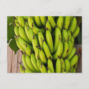 Bestselling Banana Themed Postcard