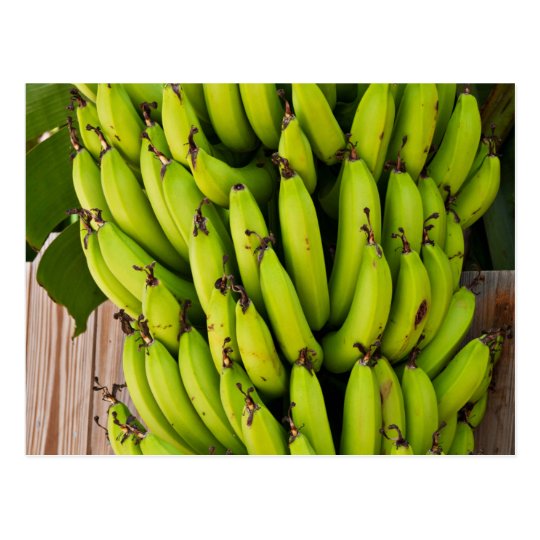 Bestselling Banana Themed Postcard