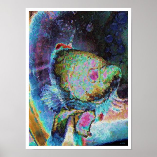 Beta fish 1 poster (Front)