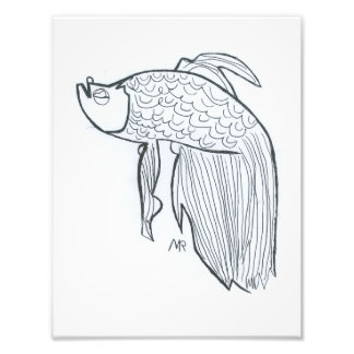 Beta Fish Photo Print
