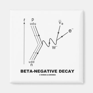 Beta-Negative Decay (Nuclear Physics) Magnet