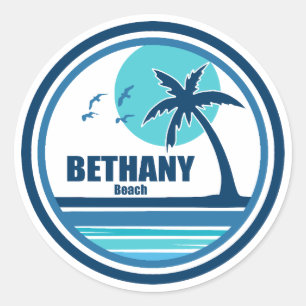 Bethany Beach Delaware Palm Tree Birds Classic Round Sticker