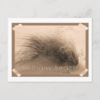 Bethany Grass Postcard