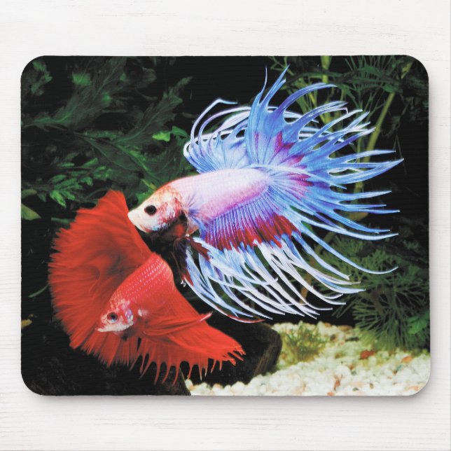 Bettaのマウスパッド,No.09 Mouse Mat (Front)
