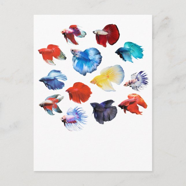 Betta 2 postcard (Front)