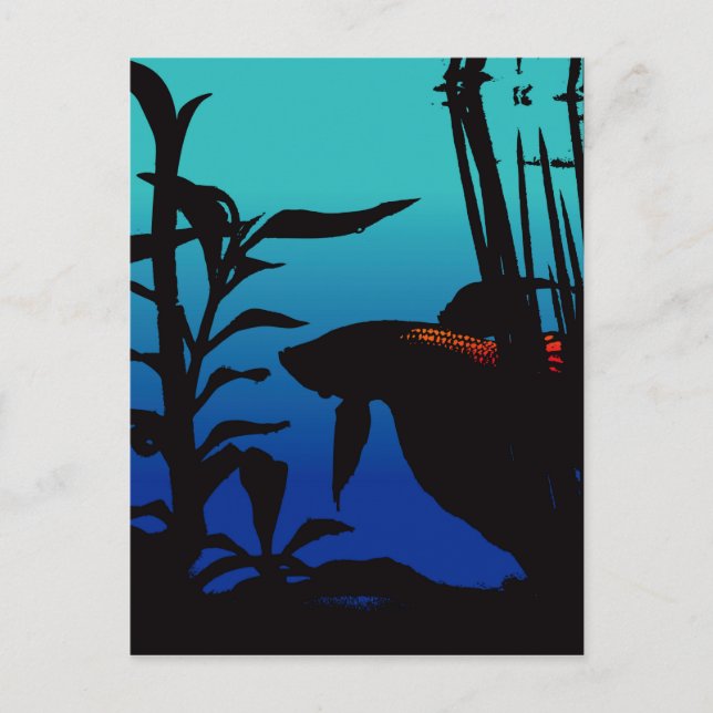 Betta Believe It Postcard (Front)