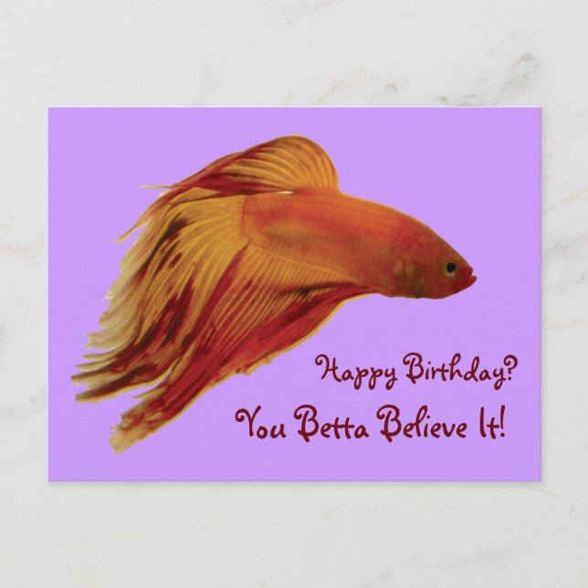 Betta - Birthday Postcard (Front)