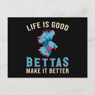 Betta Fish Bettas Make It Better Fighting Fish Postcard